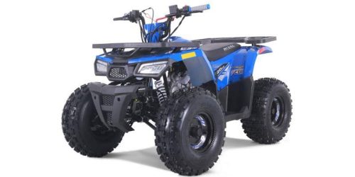 atv-tao-motors-the-raptor-120cc-automatic